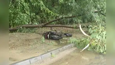 Two-hour downpour takes Ahmedabad past annual rain mark: The wider industry impact