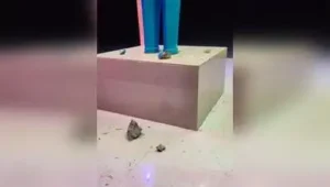 Miscreants damaged a statue of Bhimrao Ambedkar in Madaripur village under Kuthaund police