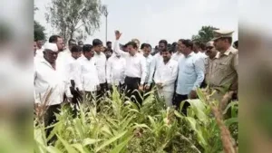 Nashik : Guardian minister Girish Mahajan on Wednesday directed: The wider industry impact