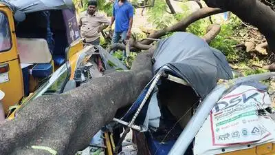 Kazipet traffic inspector P Venkanna said the bus from Sircilla depot was heading