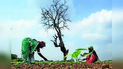 Former chief minister Prithviraj Chavan has suggested a revenue circle-wise survey to bring