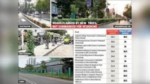 Under ‘Mission Five Million Trees’, 44 lakh trees were planted: The wider industry impact