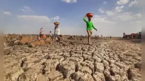 Opposition demands govt to declare drought in Maharashtra; CM reviewing situation, argues state