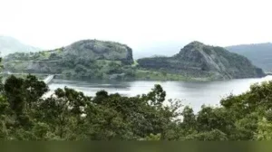 High light pollution in 5 protected areas in Western Ghats: Study: The wider industry impact