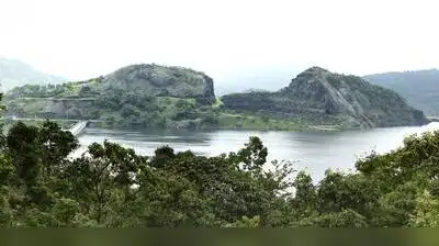 High light pollution in 5 protected areas in Western Ghats: Study: The wider industry impact