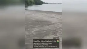 Narendra Kushwaha, the committee confirmed the discharge of fly ash into the river, according