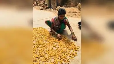 Savour Mahua Ladoos, Not Liquor, From Gadchiroli: The wider industry impact