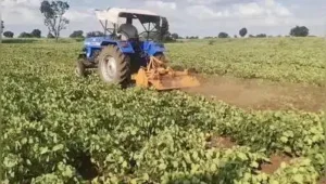 Crop cutting experiments across 2,900 plots in Nashik district: The wider industry impact