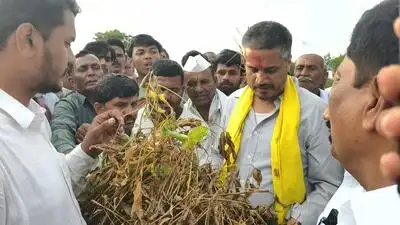 “If Ajitdada (Ajit Pawar) were alive, he would have already announced a relief package