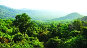 Citizens seek tighter safeguards in Western Ghats ESA draft: The wider industry impact