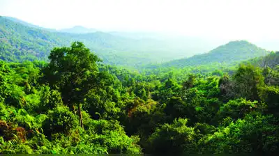 Citizens seek tighter safeguards in Western Ghats ESA draft: The wider industry impact