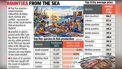 Small sciaenid, ribbonfish dominate Gujarat catch in 2025-26