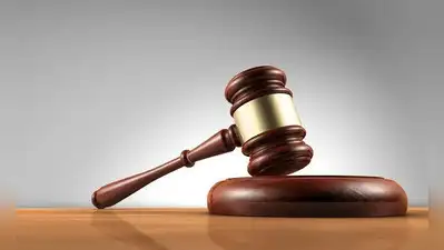 Check nylon manja supplies to Maha from other states, HC tells authorities