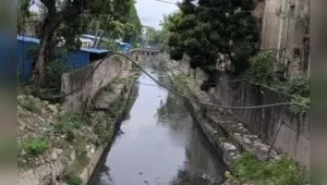 Chennai: Greater Chennai Corporation will desilt the 5.7km-long: The wider industry impact