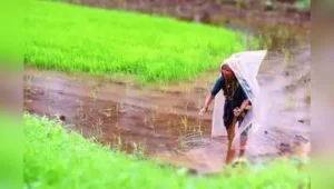 “It’s a major relief for us as we were a little doubtful about: The wider industry impact