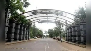 Healthcare facilities receives ₹260 crore boost for Nashik Simhastha: The wider industry impact