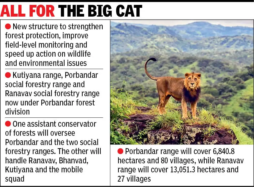 The lions are back in Barda after 143 years, and Gujarat is now redrawing the forest map