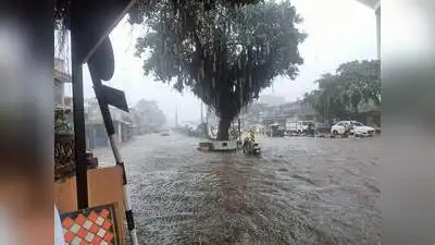 Two killed by electrocution as rain triggers 14 emergency calls