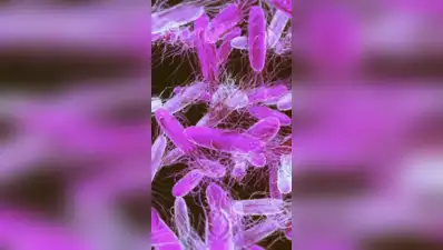 US FDA puts Hyderabad firm's Fish Masala on Salmonella import-alert list