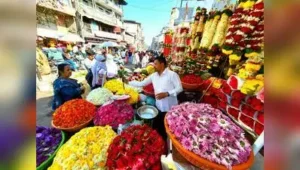 Pune: The city’s flower market is witnessing a sharp fall in price: The wider industry impact