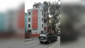 Goons thrash elderly couple in food stall row