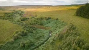 A company bought 7,500 acres of England for £8.5 million to create 'Britain's Yellowstone'