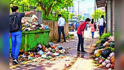 52 Nuisance Cases A Day, Yet City's Filth Goes Unchecked: The wider industry impact