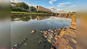 Pune: A series of conservation activities and a heritage walk: The wider industry impact