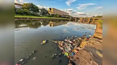Pune: A series of conservation activities and a heritage walk: The wider industry impact