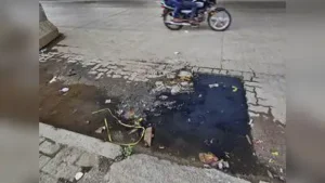PMC has reported over 400 suspected dengue cases and 14 chikungunya: The wider industry impact