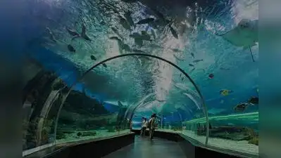 Walk-through aquarium coming up at Byculla Zoo in Mumbai early next: The wider industry impact