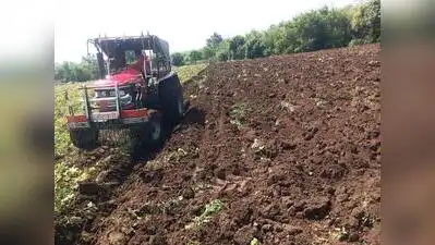 Rain gap forces soybean growers to destroy standing crop — Moisture: The wider industry impact