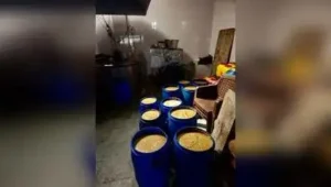 Suspicious samples of date-tamarind chutney, fruit squash, and fruit syrup were collected
