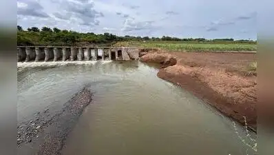 Because there was water to cultivate rabi crops, last year, I stayed: The wider industry impact