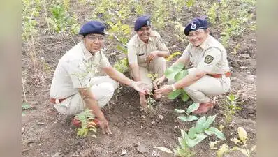 Four social forestry department women officers turn Deolali garbage: The wider industry impact