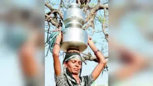 Govt steps up vigil on water, fodder availability: The wider industry impact