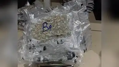 Couple caught with 1.9kg hydroponic marijuana on Ahmedabad airport