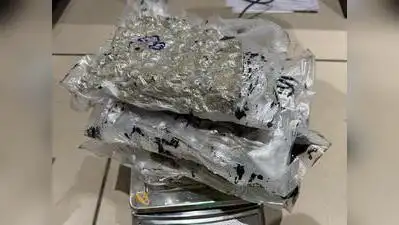 Couple caught with 1.9kg hydroponic marijuana on Ahmedabad airport