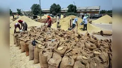 Gujarat deploys AI tool to check paddy quality: The wider industry impact