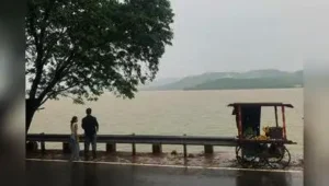 Scanty rain halts dam discharge into rivers as storage dips: The wider industry impact