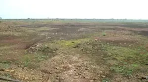 Exactly a year later, Marathwada has received just 44% of its: The wider industry impact