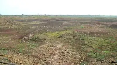 Exactly a year later, Marathwada has received just 44% of its: The wider industry impact