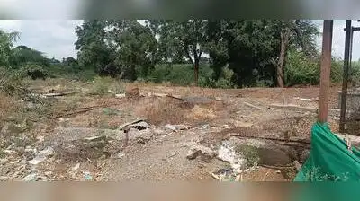 The Daatkhile family can barely look at the cattle shed where 41: The wider industry impact