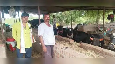 The Daatkhile family can barely look at the cattle shed where 41: The wider industry impact