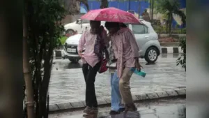 Parts of Beed and Latur received light to moderate rain on Sunday: The wider industry impact