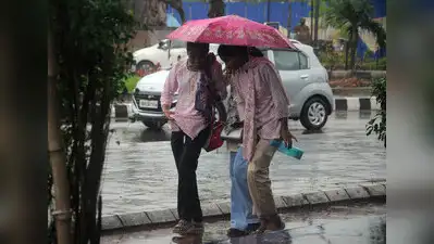 Parts of Beed and Latur received light to moderate rain on Sunday: The wider industry impact