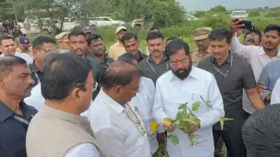Shinde inspects soyabean fields in Akola district, assures farmers of govct aid