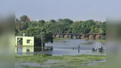 With the pontoon bridge out of service, what used to be a 2-3 km: The wider industry impact