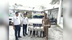 Lucknow: Traffic police conducted a special enforcement drive against vehicles fitted