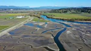 In 2009, Washington removed a century-old dike and let tides reclaim 762 acres; 21 miles